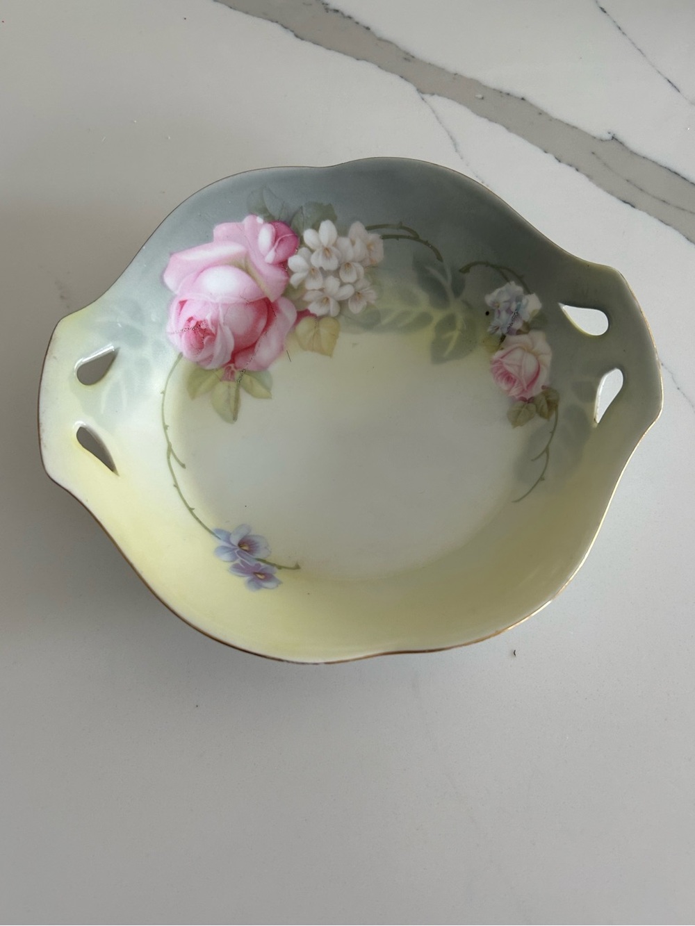RS Prussia Germany Schonwald Porcelain Dish